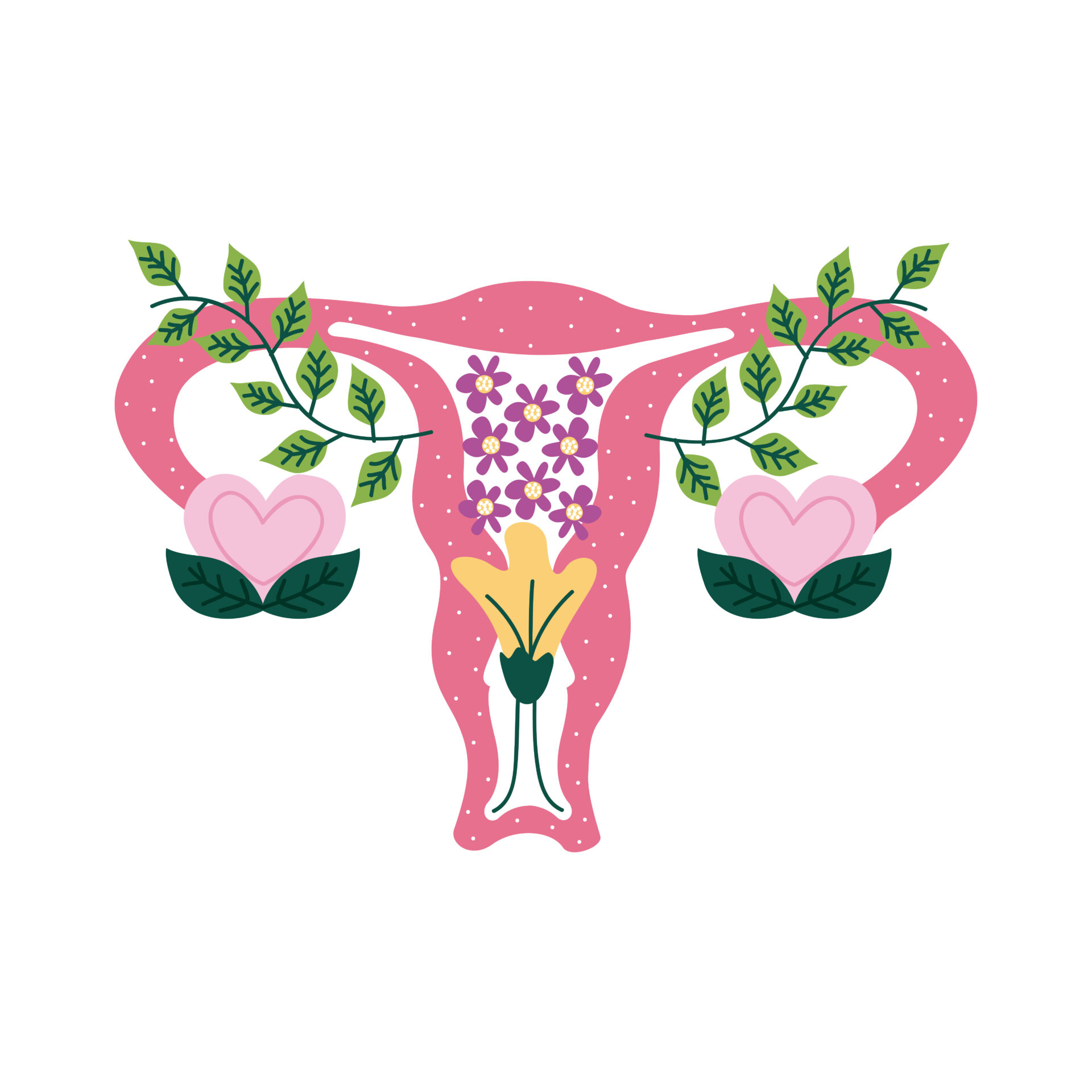 Healthy uterus illustration