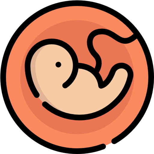 embryo-icon