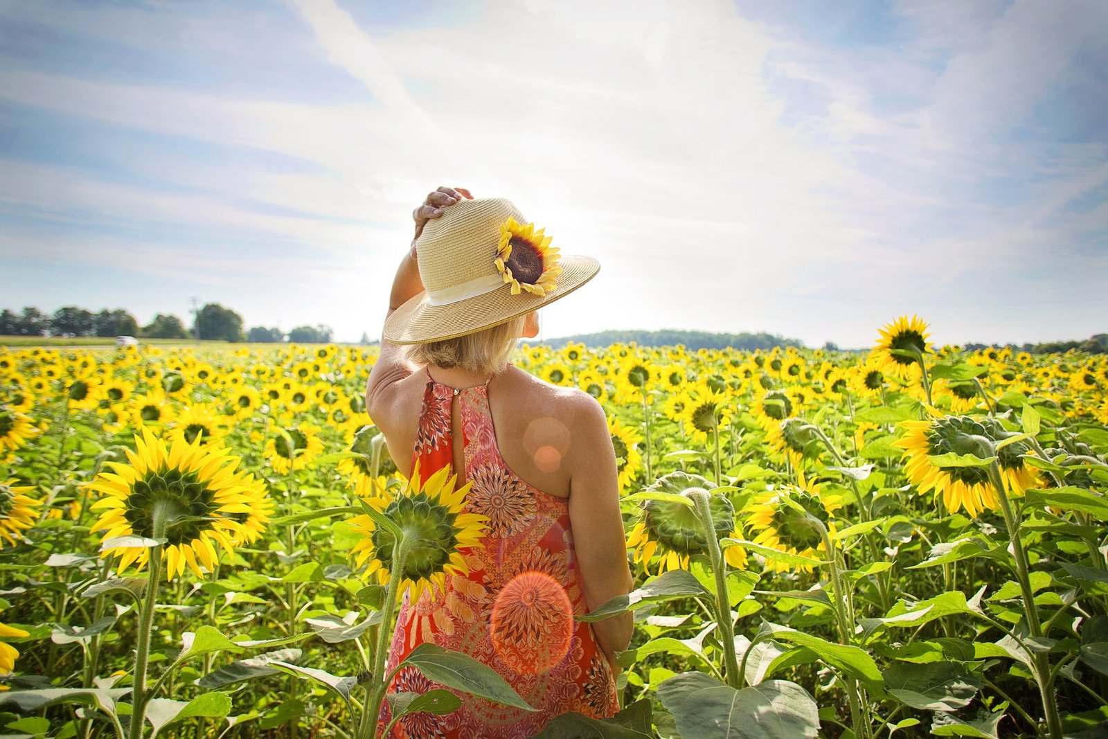 Ovarian rejuvenation